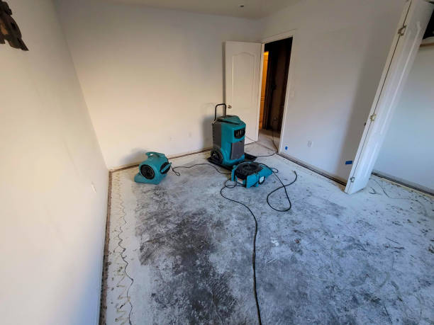 Best Sewage cleanup and water damage restoration  in Attleboro, MA