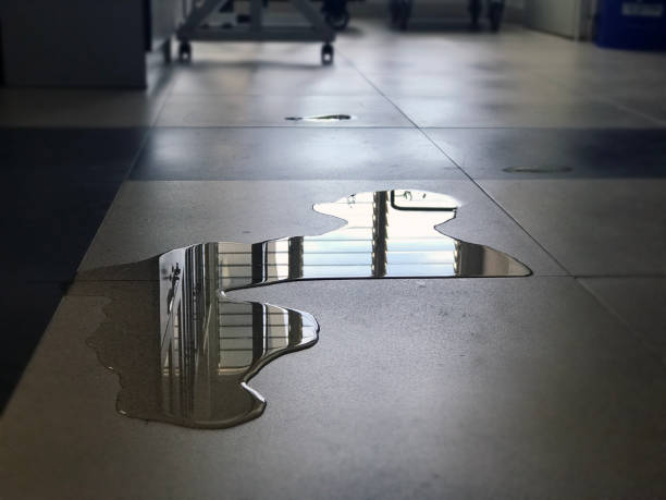 Best Water damage contractors near me  in Attleboro, MA