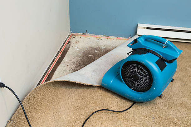 Best Mold removal after water damage  in Attleboro, MA